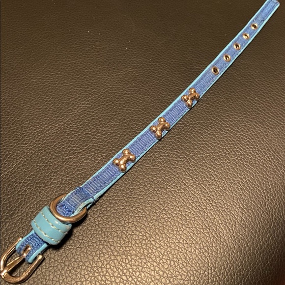 Other - XS Stylish Blue Dog Collar with Bone Accents